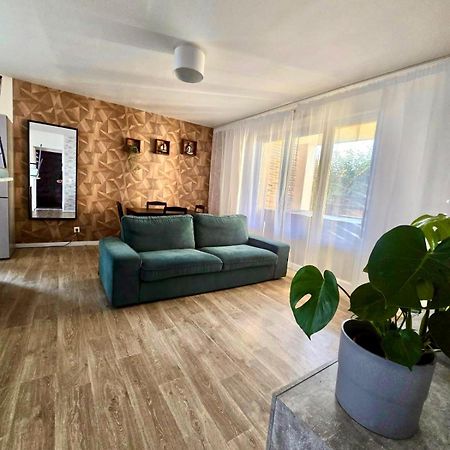 Appartement Rez De Chaussee Avec Parking Prive ออร์เลออง ภายนอก รูปภาพ